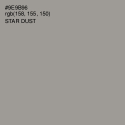 #9E9B96 - Star Dust Color Image